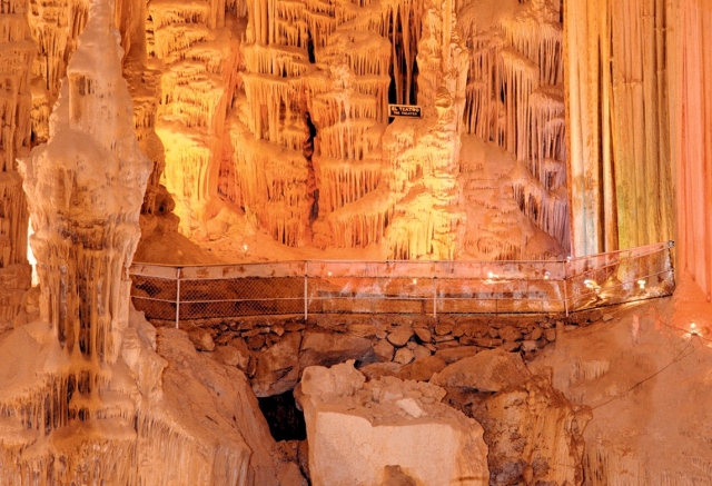 Visitas guiadas guiadas